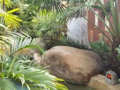 -稷泽·海丽宾雅温泉度假酒店