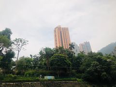 -天然豚骨拉面专门店 一兰(铜锣湾店)