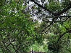 -广州莲花山旅游区
