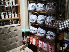 -猫咪博物馆(顶澳仔猫街店)