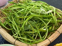 -菌自由丨野生菌火锅特色庭院餐厅(丽江古城店)