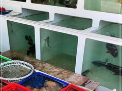 -南蚝小贝海鲜特色餐厅(南澳岛店)