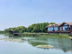 -苏州太湖湖滨国家湿地公园