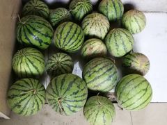 -小六农家乐(崇明西沙湿地店)