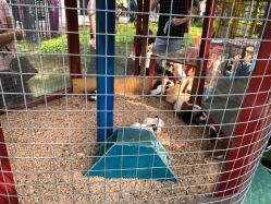 -萌宠亲子动物乐园(槐房万达店)