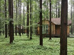 -黄海国家森林公园