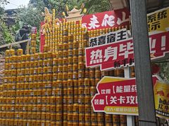 -峨眉山报国寺