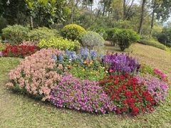 -云溪植物园