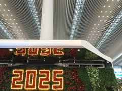-广州白云国际机场-T2航站楼