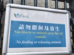 -圣弥额尔小堂