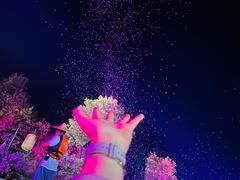 -常德桃花源景区
