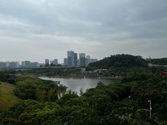 -光明刘冰乳鸽店(光明法政北路店)