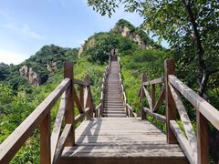 -大岭沟猕猴桃谷风景区
