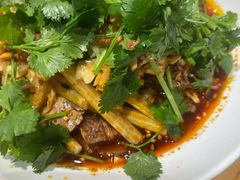 -张烤鸭·川菜·非遗冒烤鸭(蓝谷地店)