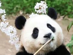 -广州动物园