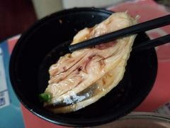 -九斤黄三黄鸡专卖店