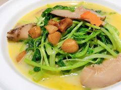 上汤白苋菜-京华烟云·北京烤鸭(领展购物广场·中关村店)