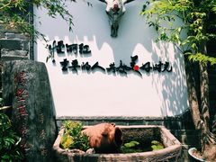 -慢丽江·云南野生菌土鸡锅(付家庄店)
