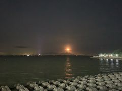 -野狸岛