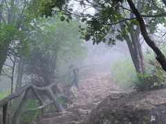 -梧桐山风景名胜区