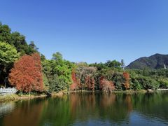 -深圳仙湖植物园