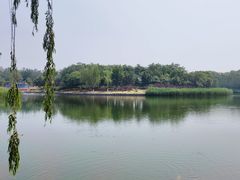 -大兴滨河森林公园