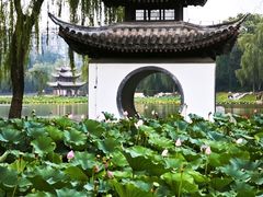 -陶然亭公园