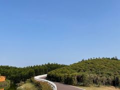 -迪茵湖田家舍生态农场