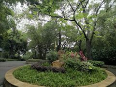 -晓港公园