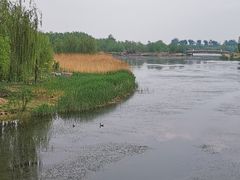 -马家湾湿地公园
