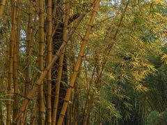 -晓港公园