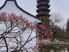-红梅公园