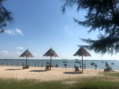 -北海金海湾红树林生态旅游区