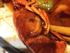 -杨氏青龙虾·羊蝎子(托乐嘉店)