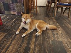 -三目仓咖啡(贤南路店)