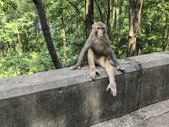 -黔灵山公园-南门售票处