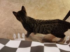 -逃脱反斗城沉浸剧情密室(北京路店)