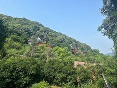 -杭州开元森泊度假乐园