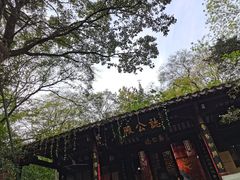 -灵谷景区