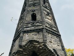 -上海佘山国家森林公园天马山园