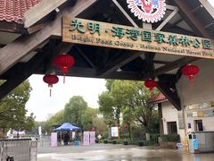 -上海海湾国家森林公园