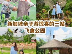 -新加坡飞禽公园