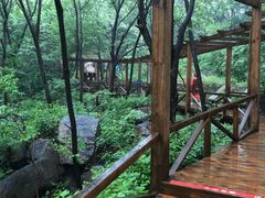 -大岭沟猕猴桃谷风景区