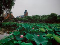 -美兰湖景区