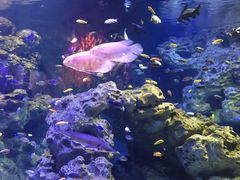 -成都浩海立方海洋公园