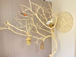 -悦尚生活空间•瑜伽普拉提•悦心芳香疗愈SPA