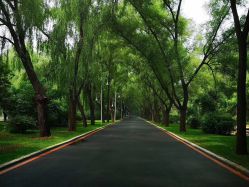 -皇家月府月子中心(沈阳店)