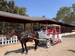 -南戴河国际娱乐中心