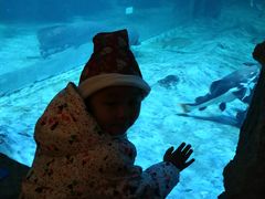 -华夏文旅海洋公园