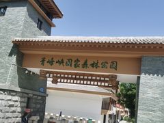 -青峰峡国家森林公园